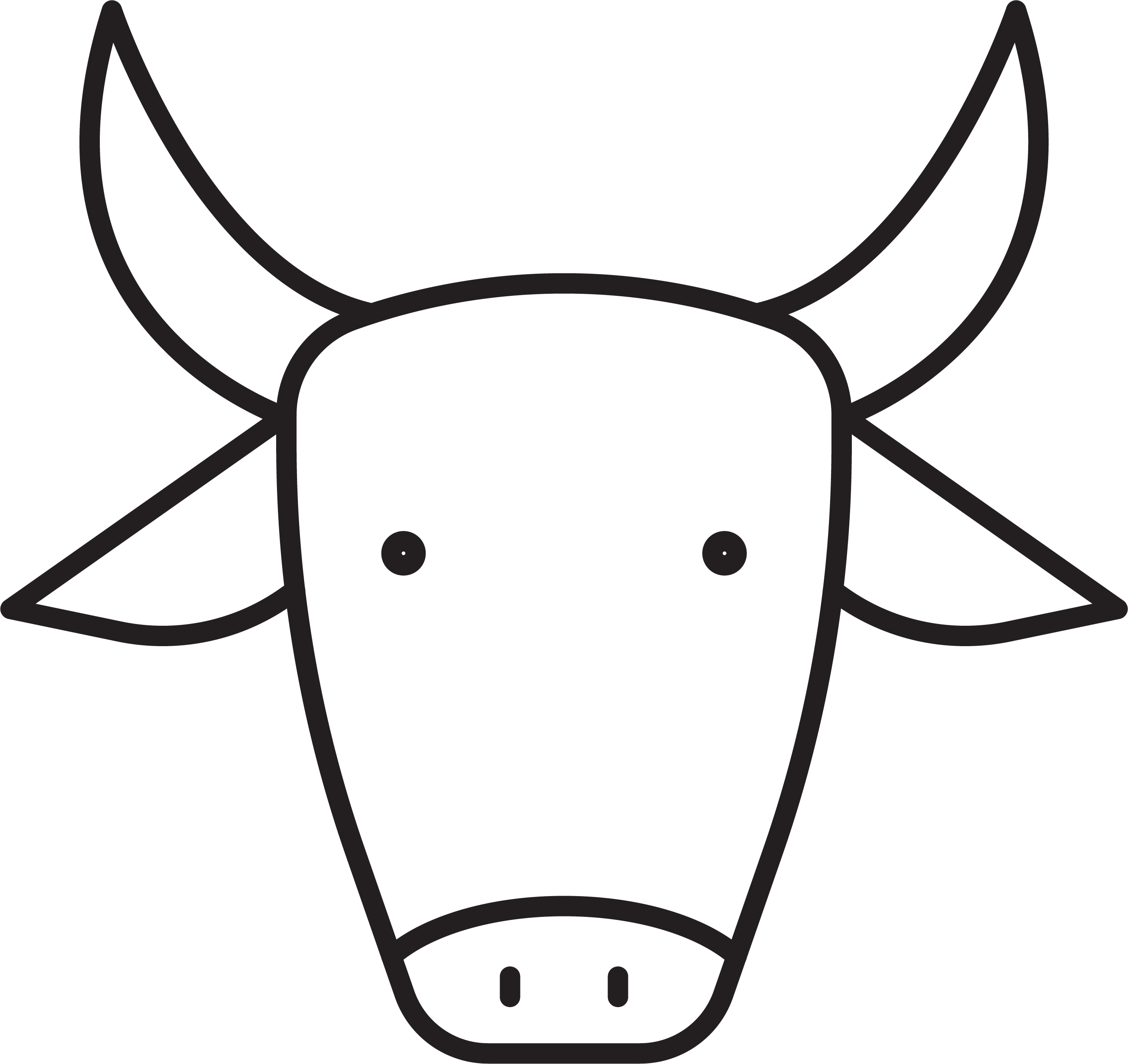 cow face icon