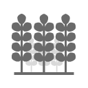 forest trees png vector