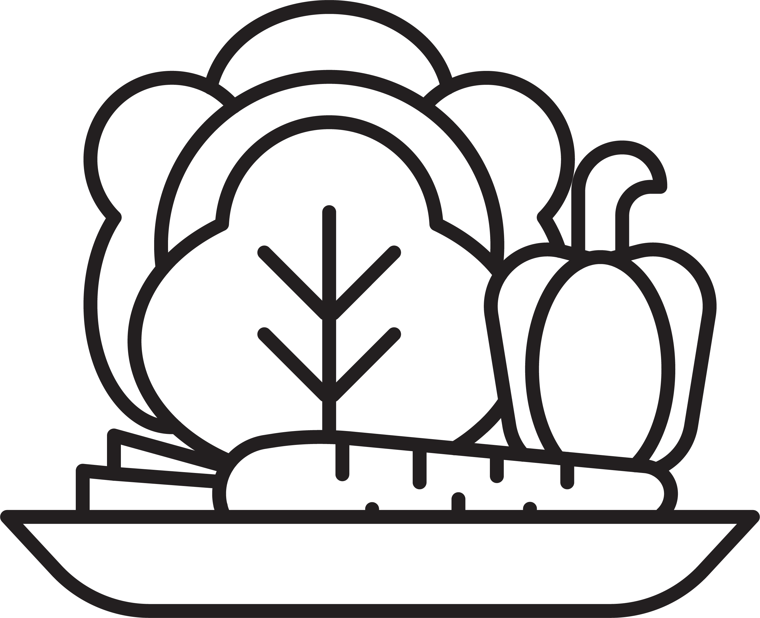 plate of veggies icon